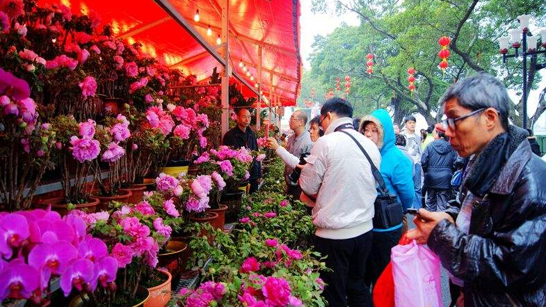 春节花市策划搭建